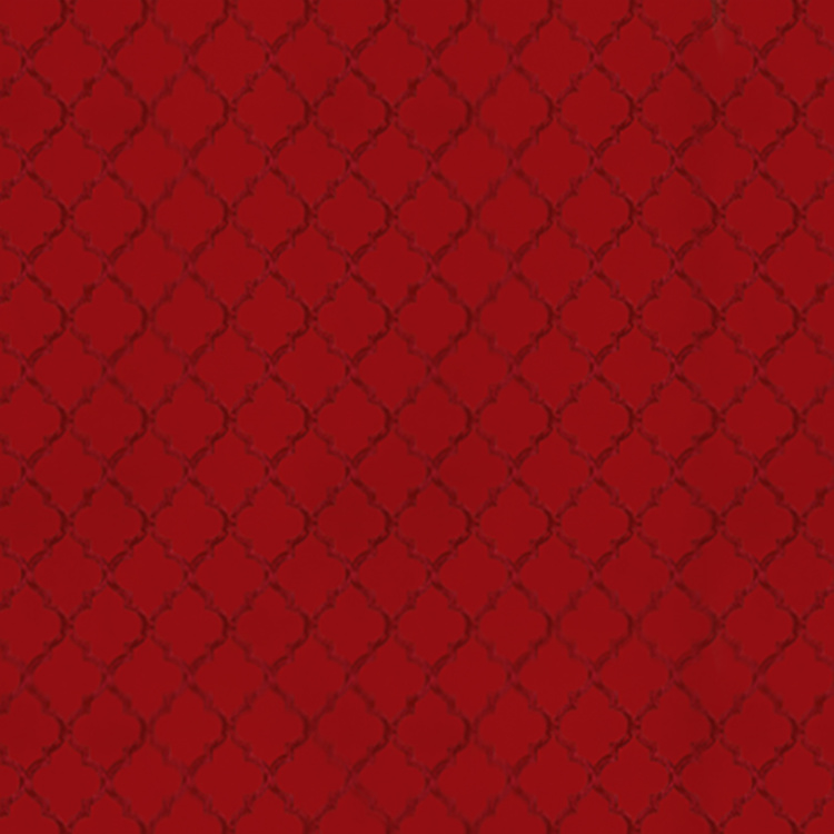 Aurora Reversible Pillow Covers- Set of 2- 30 x 50 cm