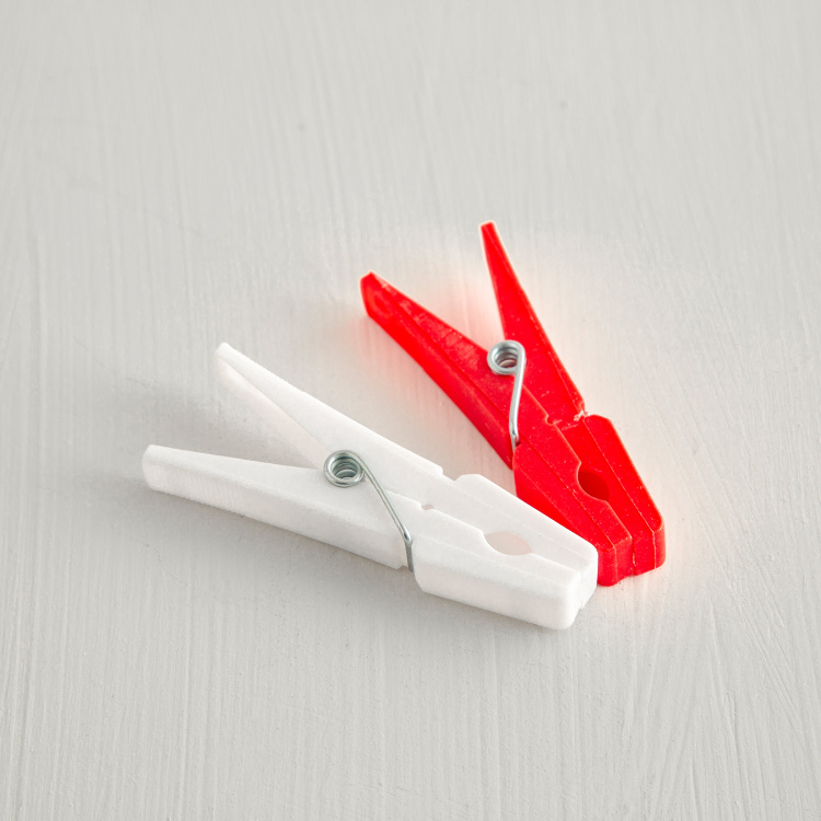 Trinity 36-Pc. Clothes Peg with Basket