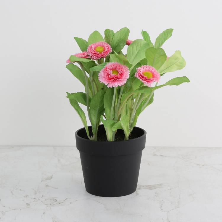 Gardenia Aster Artificial Flowers in Pot