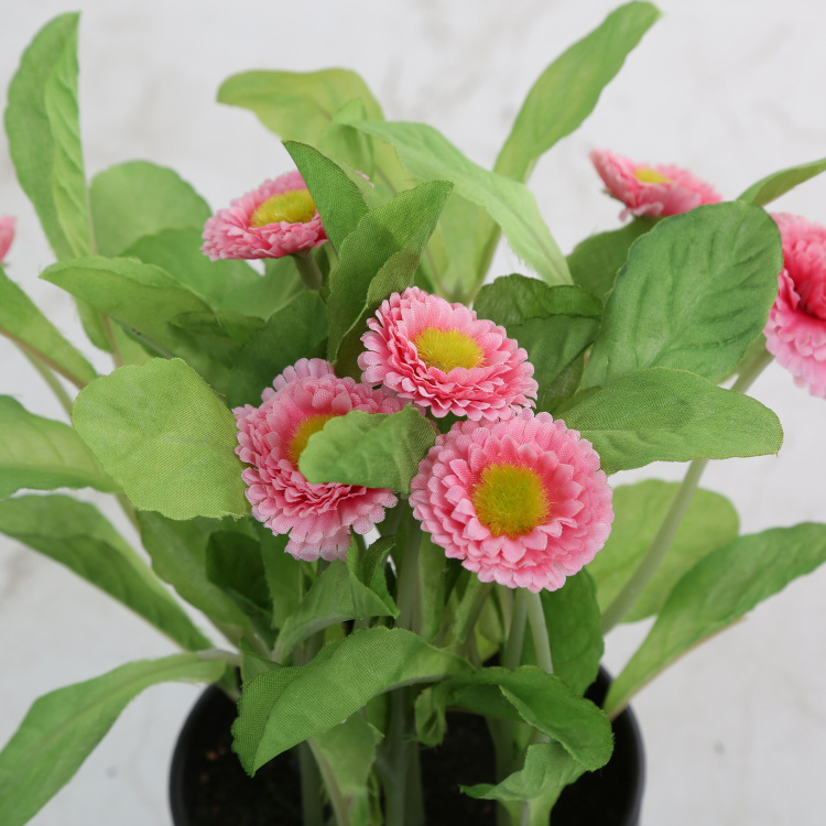 Gardenia Aster Artificial Flowers in Pot