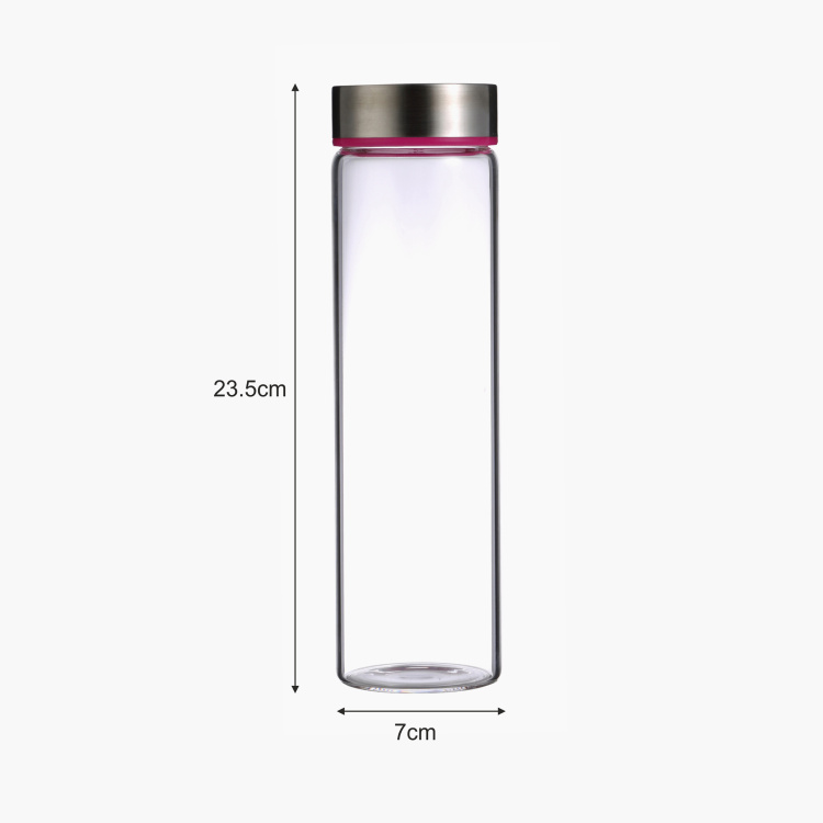 BERGNER Renberg Borosilicate Glass Water Bottle - 600ml