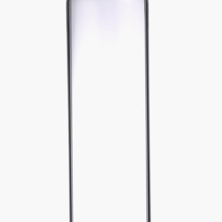 BERGNER Renberg Borosilicate Glass Water Bottle - 600ml